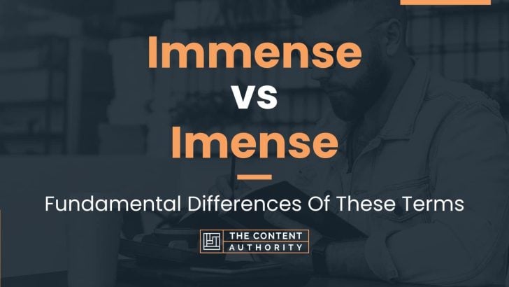 Immense vs Imense: Fundamental Differences Of These Terms