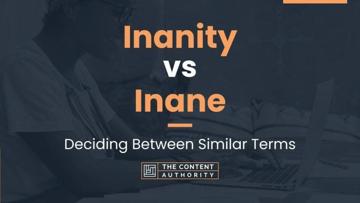 Inanity vs Inane: Deciding Between Similar Terms