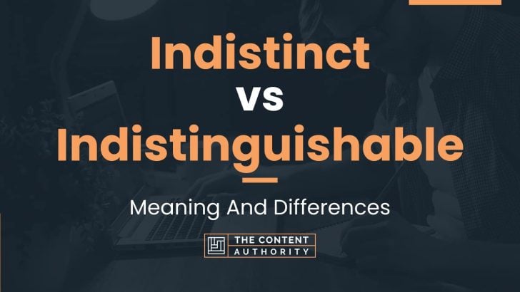 Indistinct vs Indistinguishable: Meaning And Differences