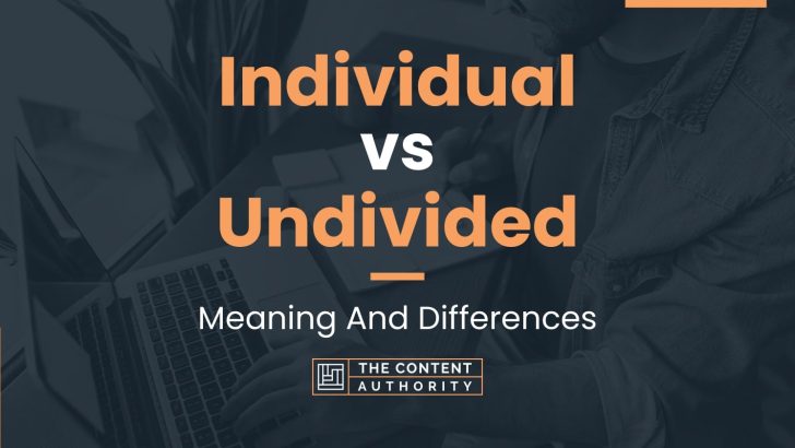 Individual vs Undivided: Meaning And Differences