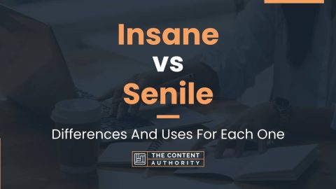 Insane vs Senile: Differences And Uses For Each One