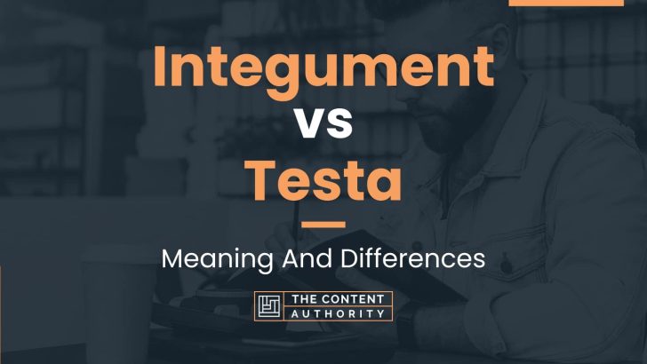 Integument vs Testa: Meaning And Differences