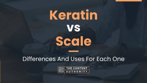 Keratin vs Scale: Differences And Uses For Each One