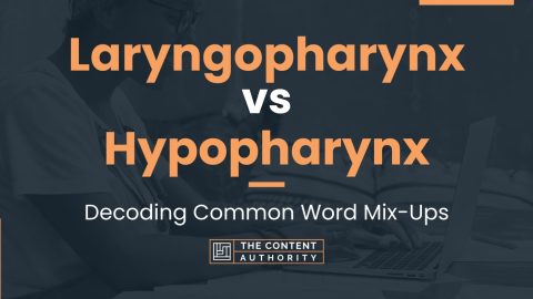 Laryngopharynx vs Hypopharynx: Decoding Common Word Mix-Ups