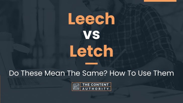 Leech vs Letch: Do These Mean The Same? How To Use Them