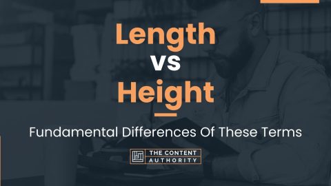 Length vs Height: Fundamental Differences Of These Terms