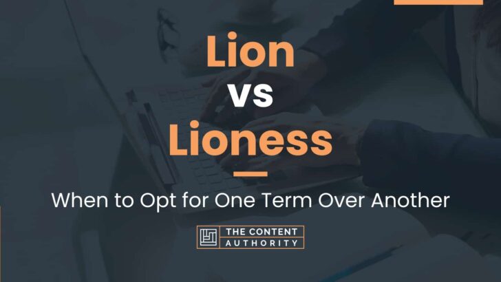 Lion vs Lioness: When And How Can You Use Each One?