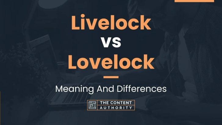 Livelock vs Lovelock: Meaning And Differences