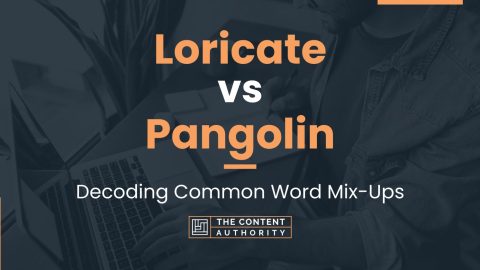 Loricate vs Pangolin: Decoding Common Word Mix-Ups