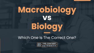 Macrobiology vs Biology: Which One Is The Correct One?