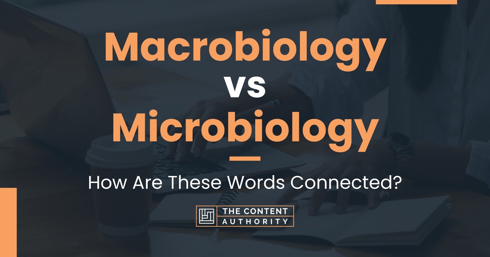 Macrobiology vs Microbiology: How Are These Words Connected?