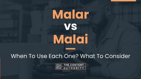 Malar vs Malai: When To Use Each One? What To Consider