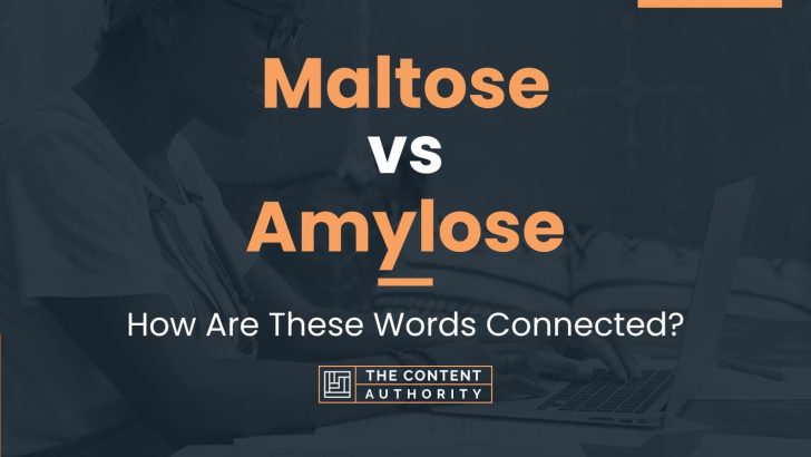Maltose vs Amylose: How Are These Words Connected?