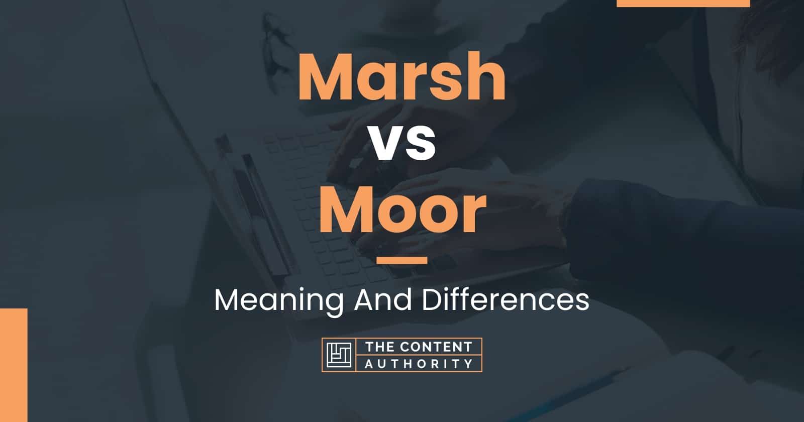 Marsh vs Moor: Meaning And Differences