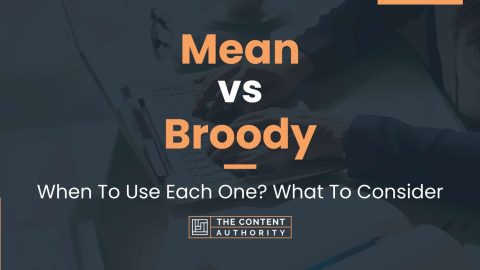 Mean vs Broody: When To Use Each One? What To Consider