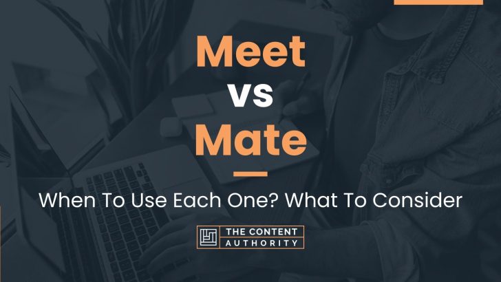 Meet vs Mate: When To Use Each One? What To Consider