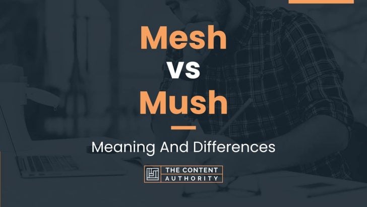 mesh-vs-mush-meaning-and-differences