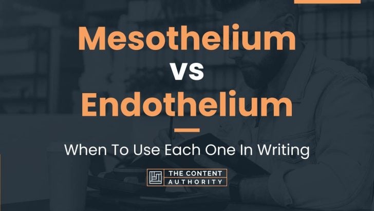 Mesothelium vs Endothelium: When To Use Each One In Writing