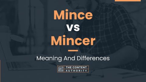 Mince vs Mincer: Meaning And Differences