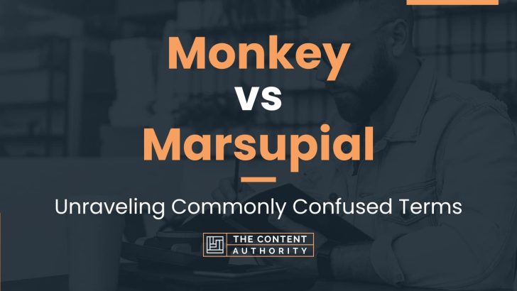 Monkey vs Marsupial: Unraveling Commonly Confused Terms