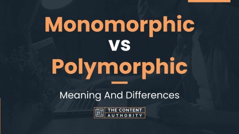 Monomorphic vs Polymorphic: Meaning And Differences