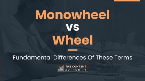 Monowheel vs Wheel: Fundamental Differences Of These Terms