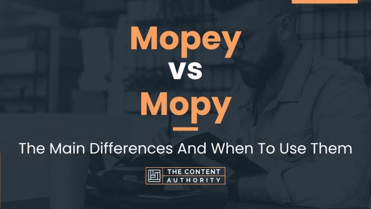 Mopey vs Mopy: The Main Differences And When To Use Them