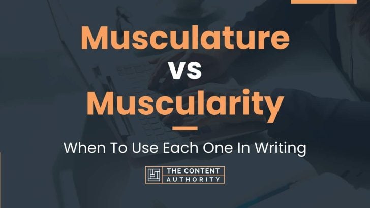 Musculature vs Muscularity: When To Use Each One In Writing