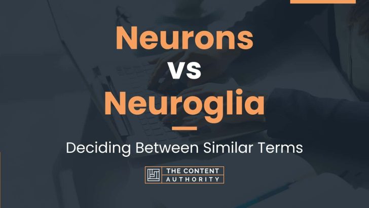 Neurons vs Neuroglia: Deciding Between Similar Terms