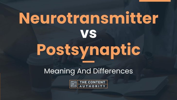 Neurotransmitter vs Postsynaptic: Meaning And Differences