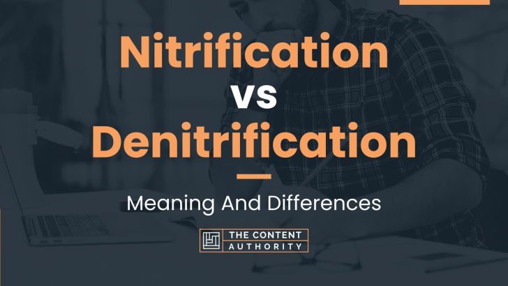 Nitrification vs Denitrification: Meaning And Differences
