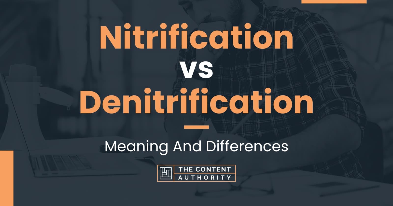 Nitrification vs Denitrification: Meaning And Differences