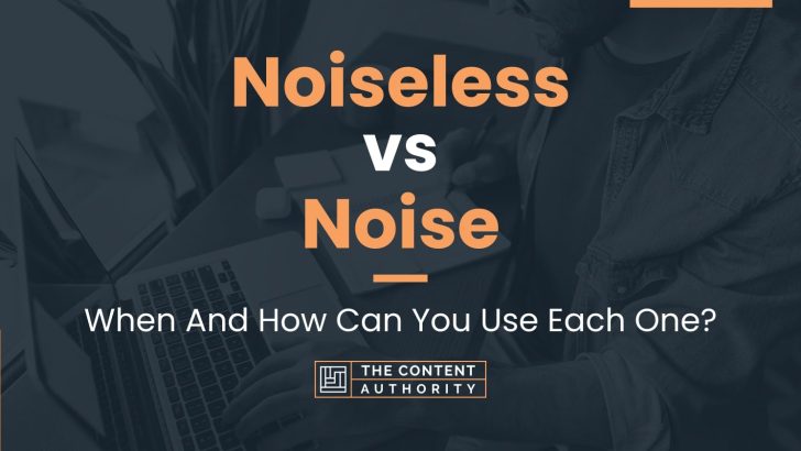 Noiseless vs Noise: When And How Can You Use Each One?