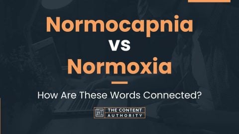 Normocapnia vs Normoxia: How Are These Words Connected?