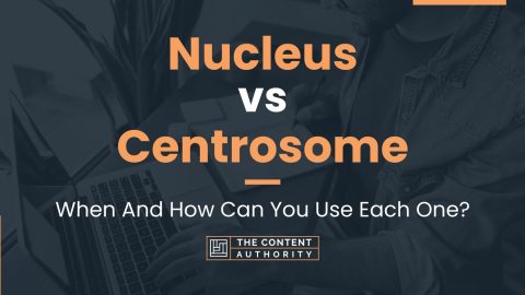 Nucleus vs Centrosome: When And How Can You Use Each One?