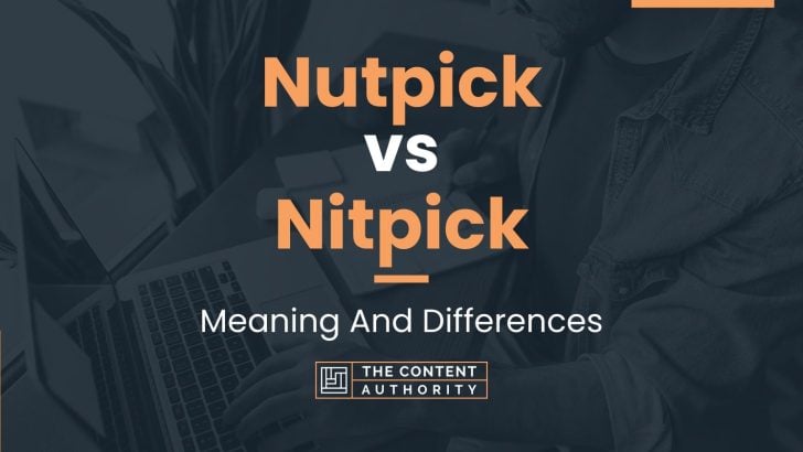 Nutpick vs Nitpick: Meaning And Differences