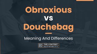 Obnoxious vs Douchebag: Meaning And Differences