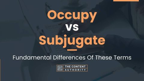 Occupy vs Subjugate: Fundamental Differences Of These Terms