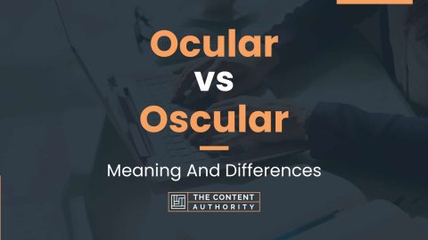 Ocular vs Oscular: Meaning And Differences