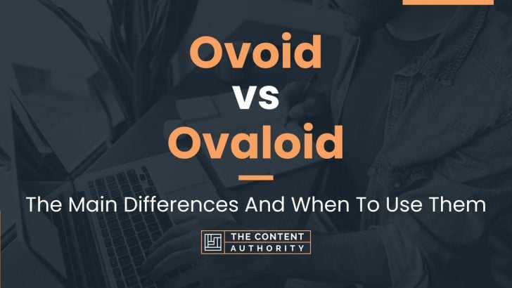 Ovoid vs Ovaloid: The Main Differences And When To Use Them