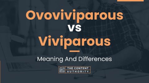 Ovoviviparous vs Viviparous: Meaning And Differences