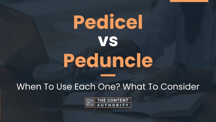 Pedicel vs Peduncle: When To Use Each One? What To Consider