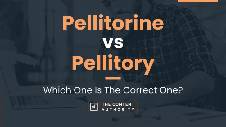 Pellitorine vs Pellitory: Which One Is The Correct One?