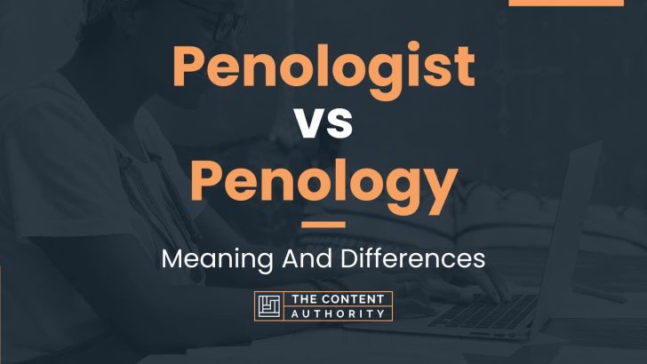 Penologist Vs Penology: Meaning And Differences