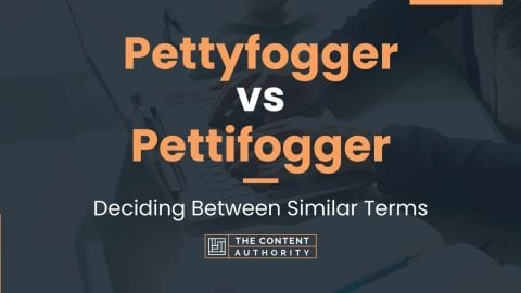 Pettyfogger vs Pettifogger: Deciding Between Similar Terms