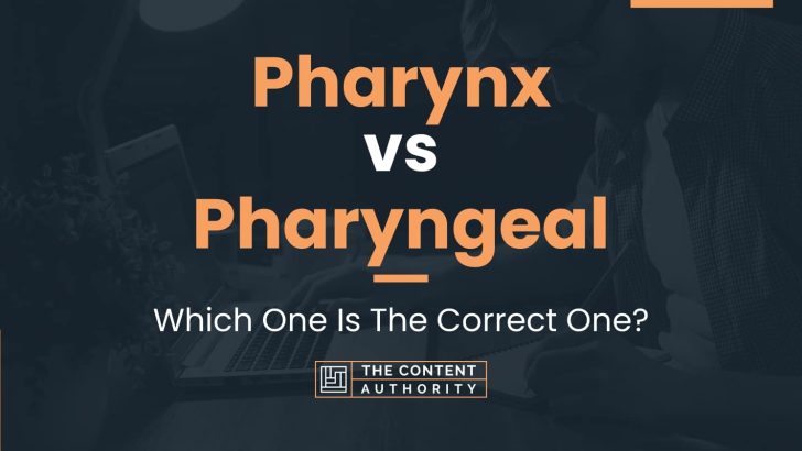 Pharynx vs Pharyngeal: Which One Is The Correct One?