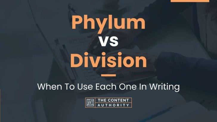 Phylum vs Division: When To Use Each One In Writing