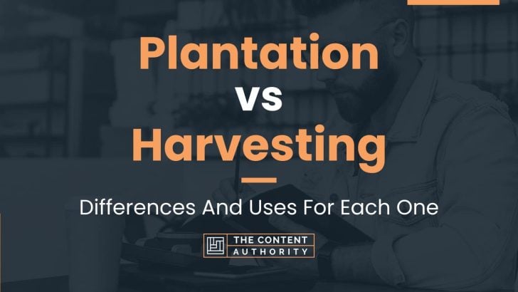 Plantation vs Harvesting: Differences And Uses For Each One