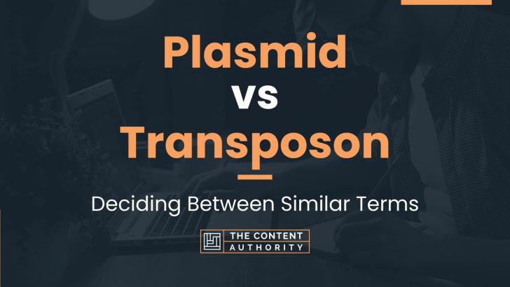 Plasmid vs Transposon: Deciding Between Similar Terms