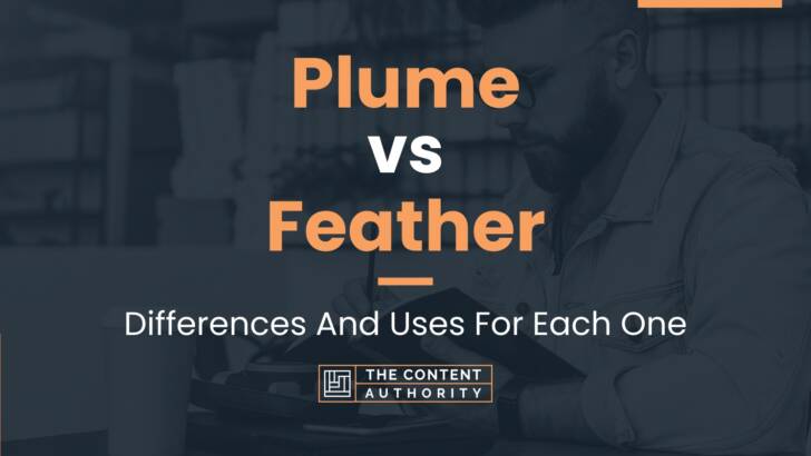 Plume vs Feather: Differences And Uses For Each One